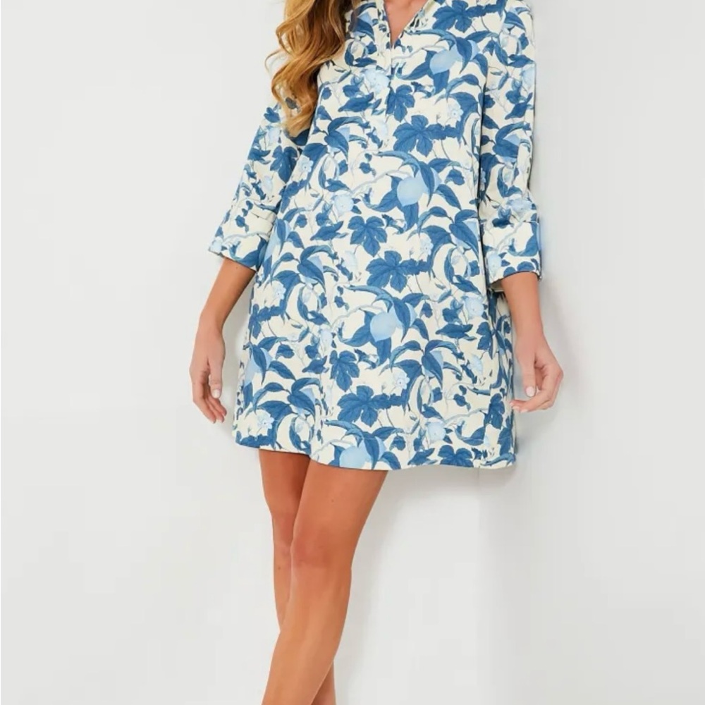 Floral Blue and White Dress